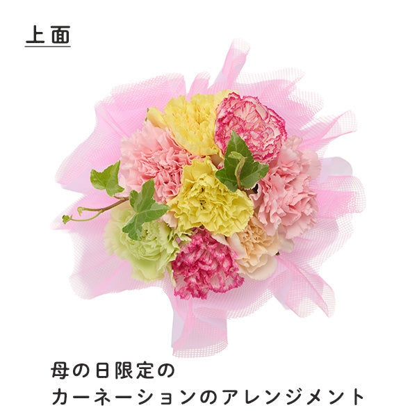 【おかいものSNOOPYオリジナル】母の日スタンディングブーケ/OKAIMONO SNOOPY flower series【送料込】
