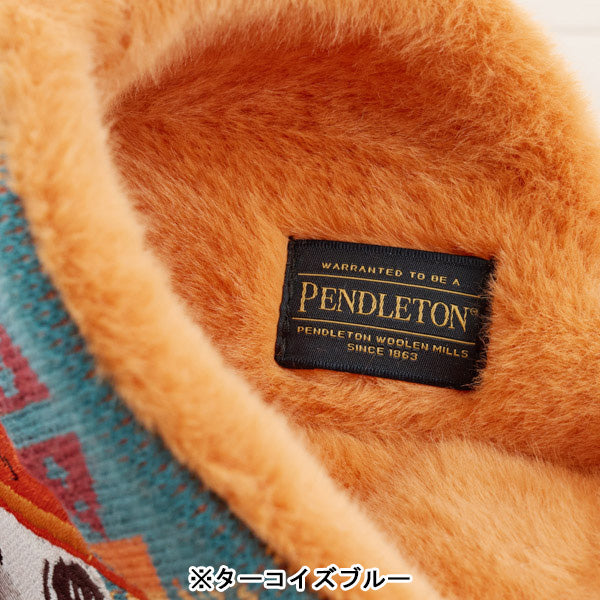 PEANUTS PENDLETON　ニットルームシューズ (ダイヤモンドピーク)
