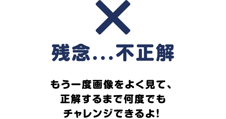 不正解